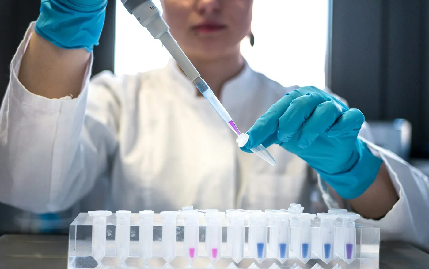 Blood samples being tested in the lab